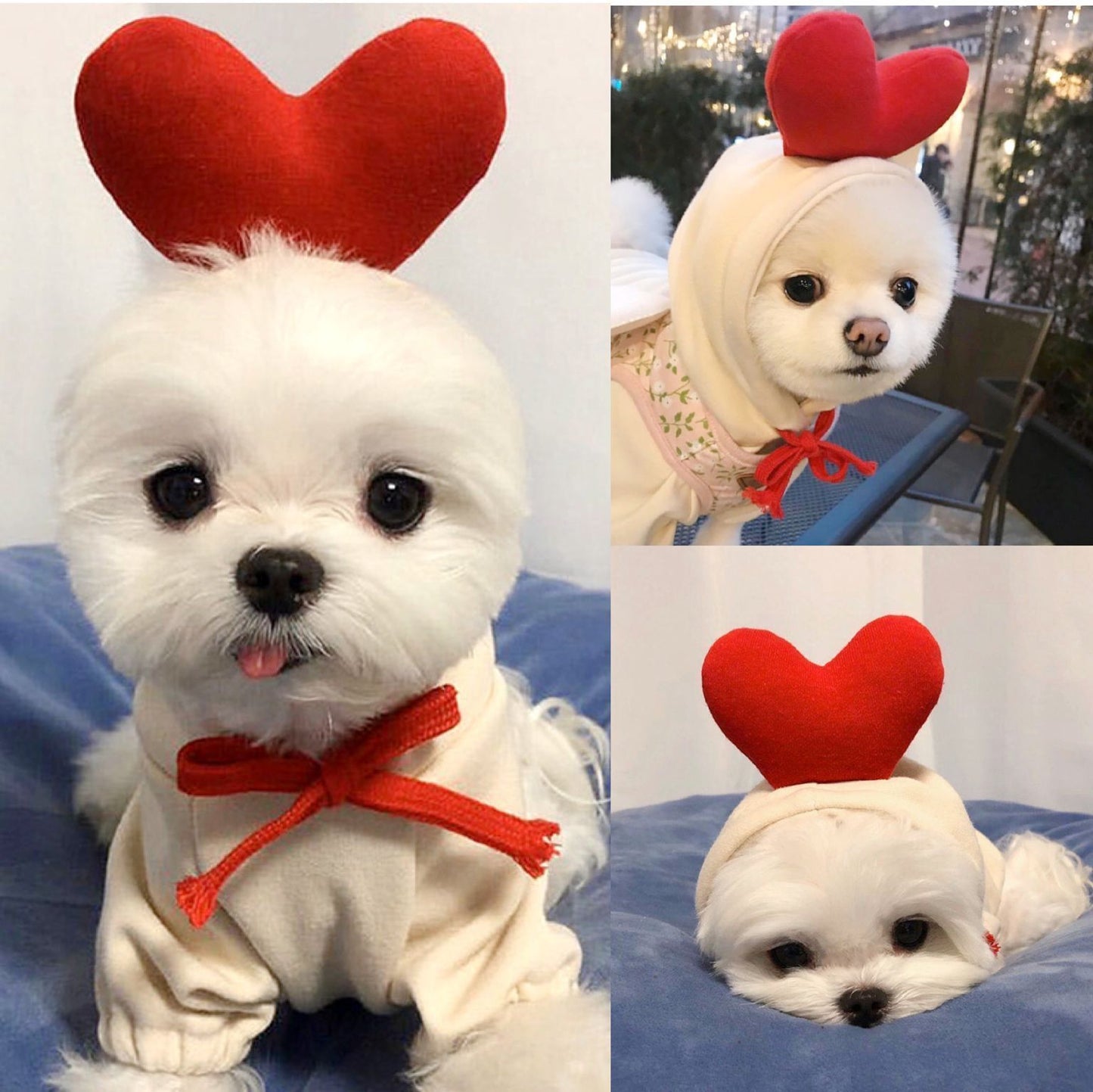 THE LOVE PETS™ OodieCutie