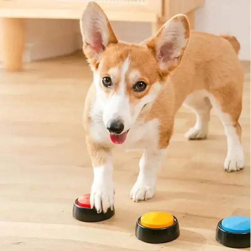 THE LOVE PETS™ Smart Pet Talk Buttons