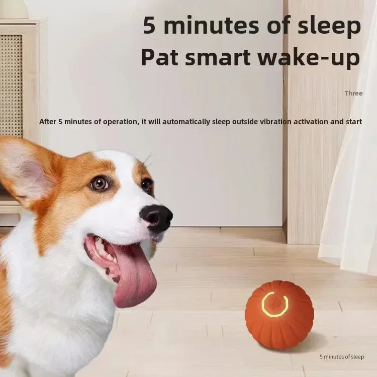 THE LOVE PETS™ Smart Motion Toy