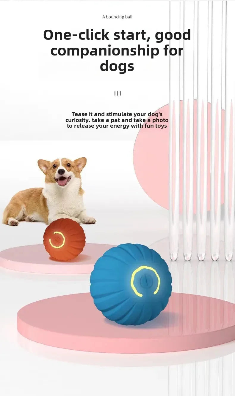 THE LOVE PETS™ Smart Motion Toy